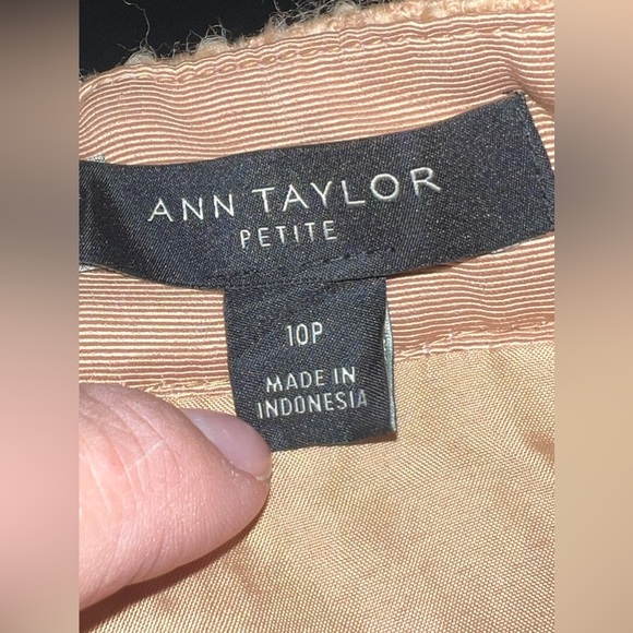 Ann Taylor Tan Tweed Below Knee A-Line Skirt Size 10 Petite NWOT - Picture 4 of 8